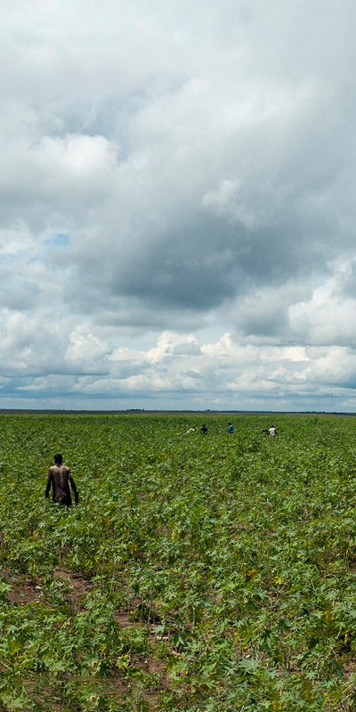 congo-campo-agri-hub.jpg congo-campo-agri-hub.jpg