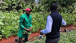 kenya-agribusiness-3.jpg
