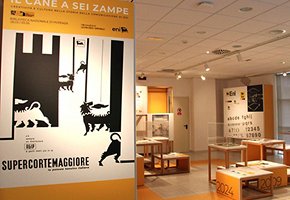 gallery-mostra-cane-00.jpg