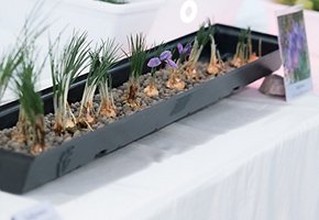 foto-evento-eni-132.jpg