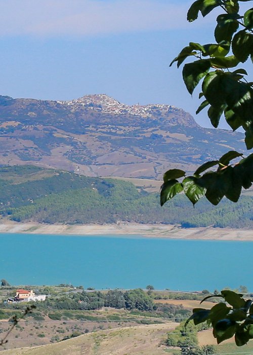 04_oroBlu.jpg 04_oroBlu.jpg
