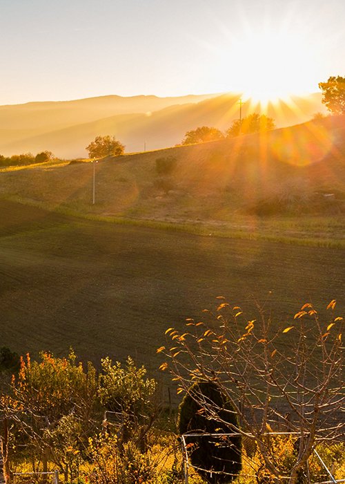 Countryside beautiful panorama at sunset in southern Italy