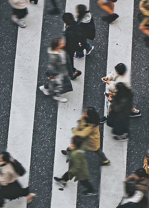 The Shibuya Crossing The Shibuya Crossing