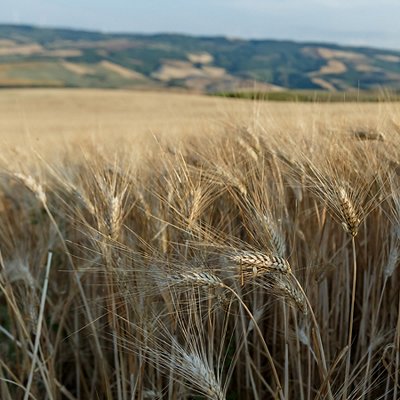 03_AgriHub.jpg