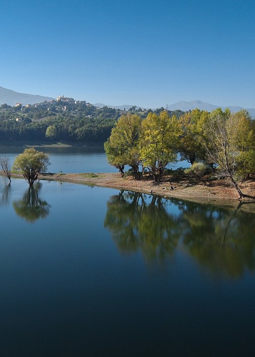 02_pertusillo.jpg