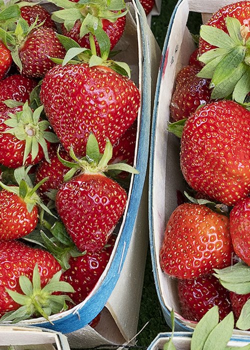 strawberry in market strawberry in market