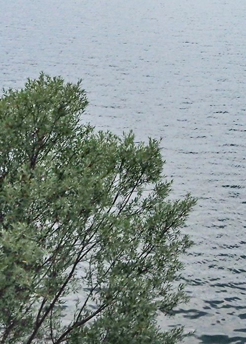 02_acqua.jpg 02_acqua.jpg