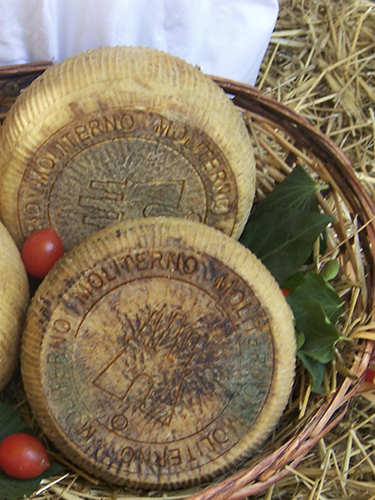 04_Agroalimentare.jpg