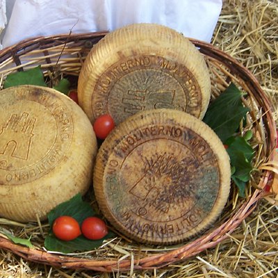 04_Agroalimentare.jpg 04_Agroalimentare.jpg