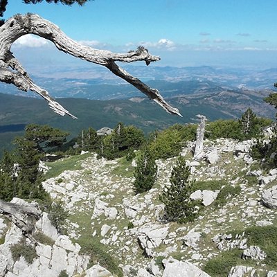 02_parchi.jpg 02_parchi.jpg