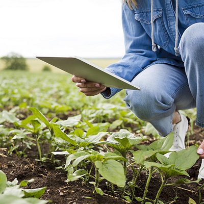 02_agricoltori.jpg 02_agricoltori.jpg