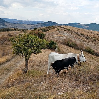 02_agricoltura.jpg 02_agricoltura.jpg