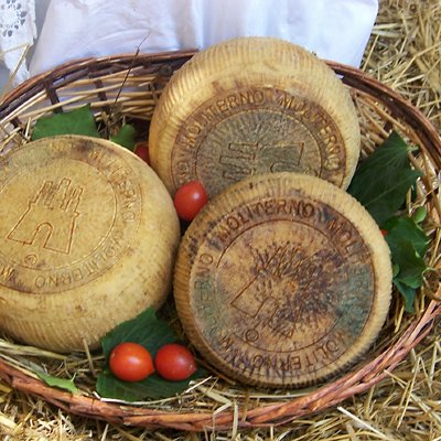 04_cibo.jpg 04_cibo.jpg