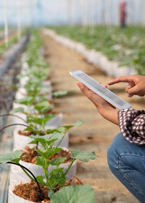 02_Giovani_agricoltori.jpg 02_Giovani_agricoltori.jpg