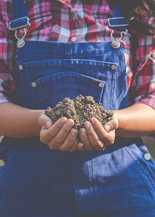 02_agricoltura_donne.jpg 02_agricoltura_donne.jpg