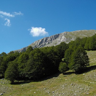 03_parchi.jpg 03_parchi.jpg