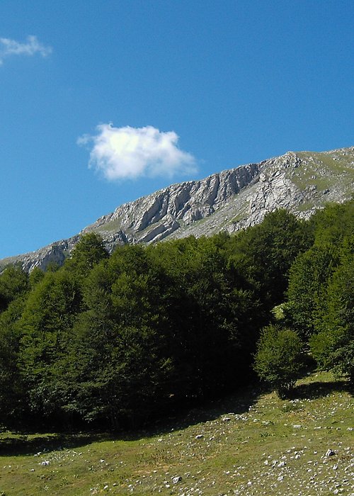 03_parchi.jpg 03_parchi.jpg