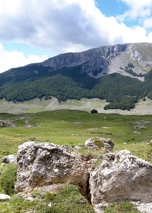 02_Montagna.jpg 02_Montagna.jpg