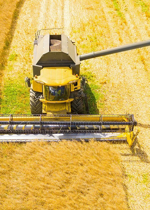 02_agribiofuel.jpg