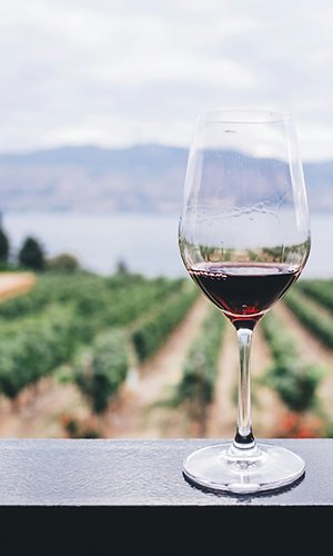 04_vino.jpg