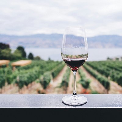 04_vino.jpg 04_vino.jpg