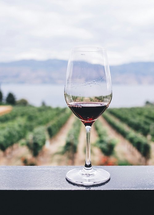 04_vino.jpg 04_vino.jpg