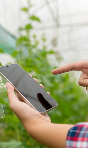 Internet of Things, IoT with Farming Smart concept. Agriculture and modern technology are used to manage crops. controlling the production to be effective to solve productive problems. business melon.