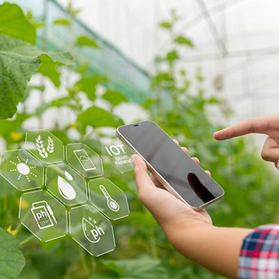 Internet of Things, IoT with Farming Smart concept. Agriculture and modern technology are used to manage crops. controlling the production to be effective to solve productive problems. business melon. Internet of Things, IoT with Farming Smart concept. Agriculture and modern technology are used to manage crops. controlling the production to be effective to solve productive problems. business melon.