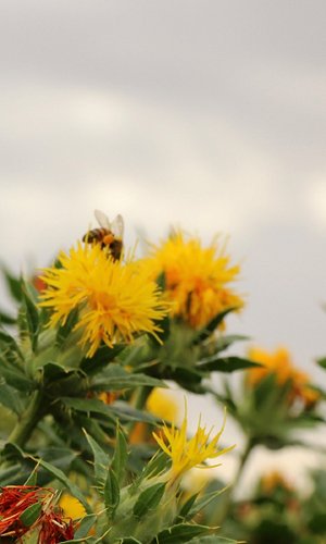 IMG_0344.jpg