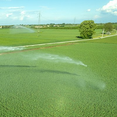 Rural field planted with garlic using hose reel system pumping water from canal. most widespread in Italy for full field watering.
