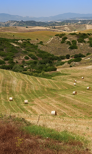 Country landscape near Aliano and Craco, Basilicata, Italy