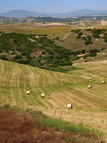Country landscape near Aliano and Craco, Basilicata, Italy
