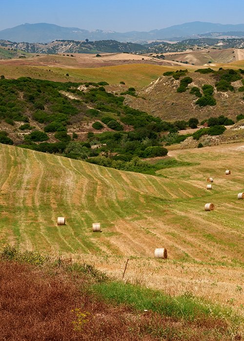 Country landscape near Aliano and Craco, Basilicata, Italy