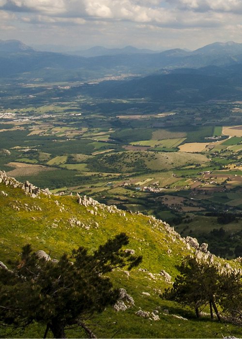 foto2.jpg