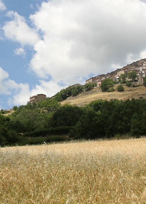 foto2.jpg foto2.jpg