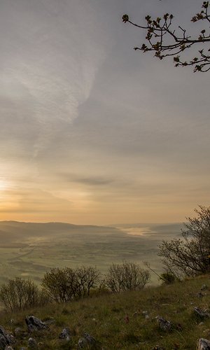 IMG_7786.jpg