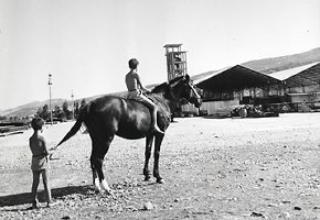 Bambini con cavallo nel deposito per i lavori del metanodotto Ferrandina- Bari,  primi anni '60.tif