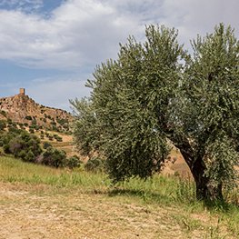 abandoned-village-craco-basilicata-italy.jpg abandoned-village-craco-basilicata-italy.jpg