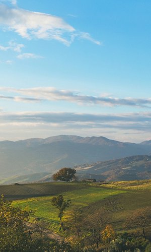 Panoramic view of a rural countryside in the southern Italy