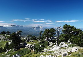 Serra_Di_Crispo_Terranova-Pollino-Province-Potenza_Italy-unsplash.jpeg
