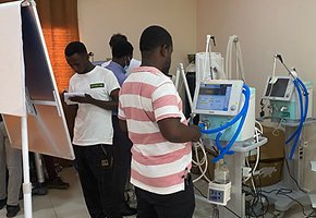 gallery_02_guinea.jpg