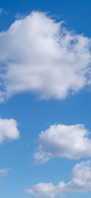 1308128797 1308128797
