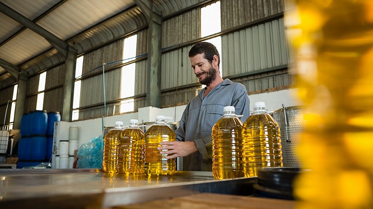 Worker examining a can of olive oil in factory