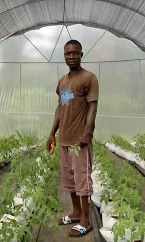 John Afful agricoltore in Ghana