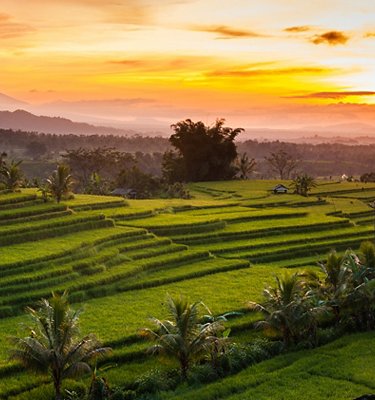 Indonesia Indonesia