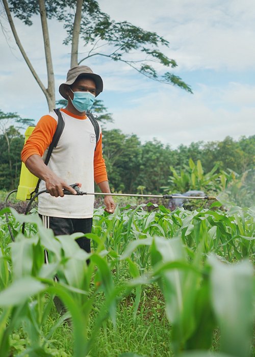 indonesia-local-farmers-2.jpg