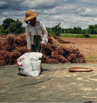 cover-farm-recovery-project-myanmar.jpg cover-farm-recovery-project-myanmar.jpg