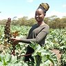 hero-kenya-book-02.jpg
