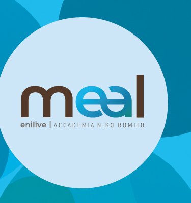 MEAL logo con partners MEAL logo con partners