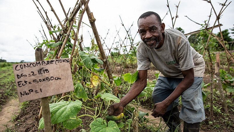 A new kind of farming in the Congo